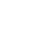 wn10 Entry icon